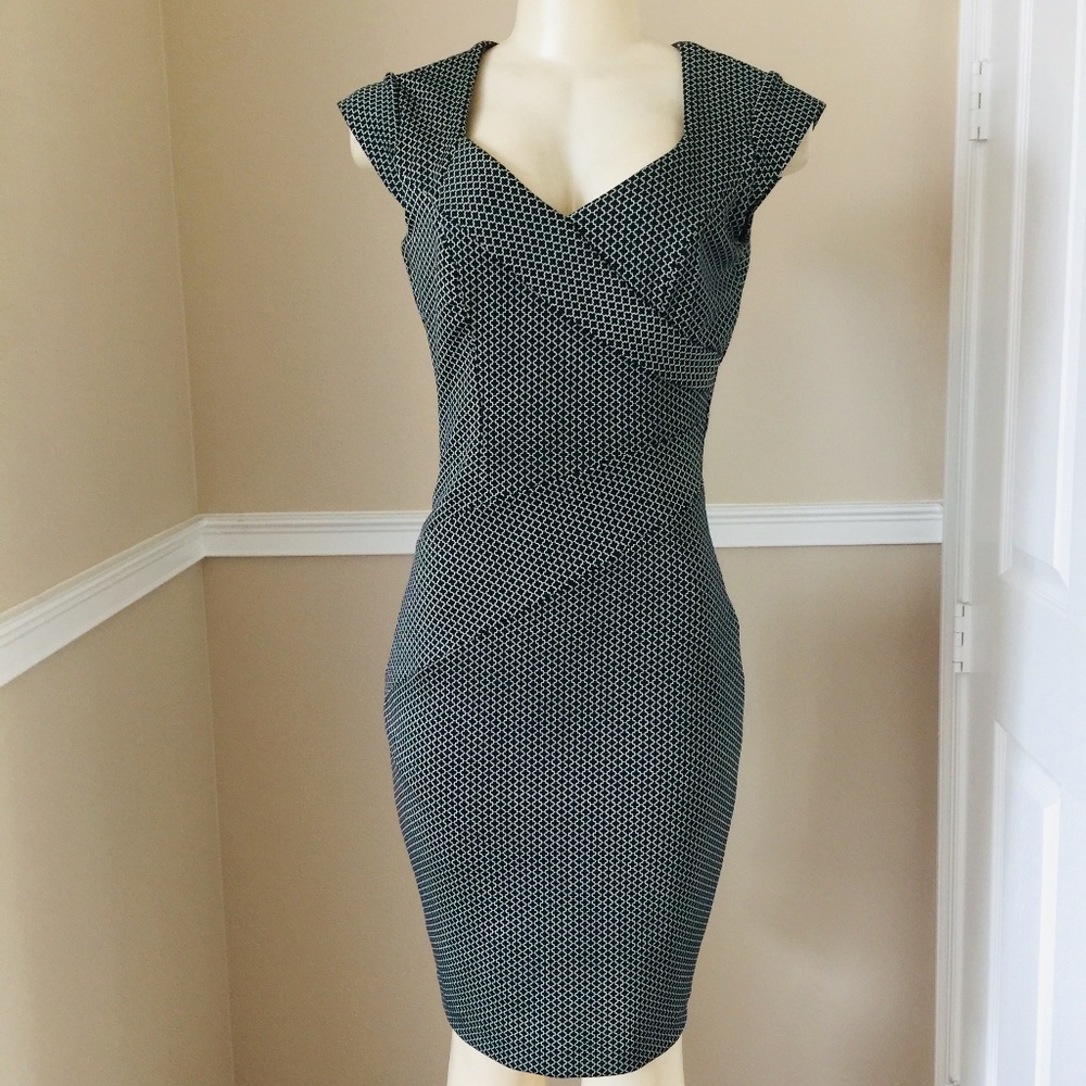  LIKE NEW Gorgeous Retro Looking Scuba  Dress